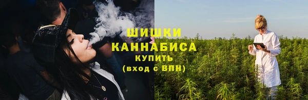 бошки Белокуриха