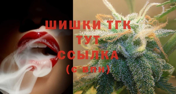 сатива Богородск