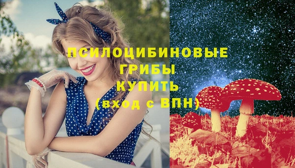 бошки Белокуриха