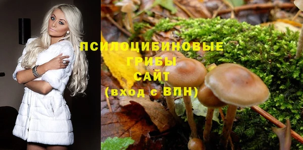 бошки Белокуриха