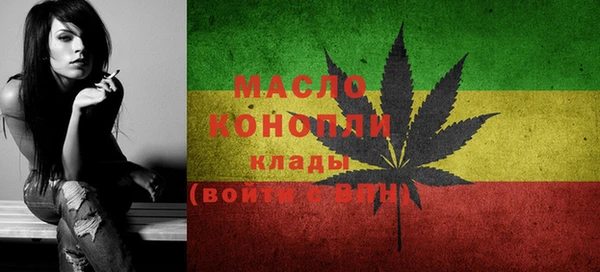 мдпв Богородицк