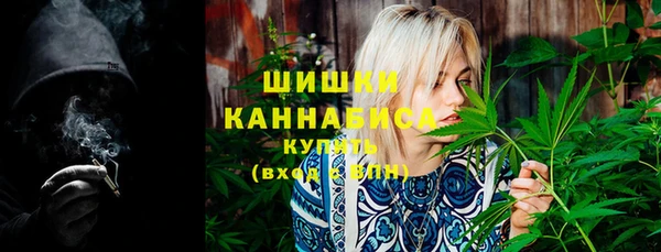 бошки Белокуриха