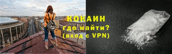 бошки Белокуриха