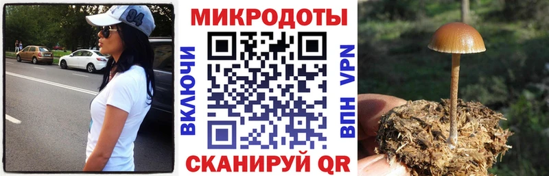 Купить где  Свирск  Псилоцибиновые грибы GOLDEN TEACHER 